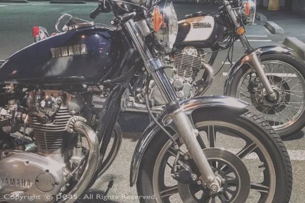 mn_xs650_2a.jpg