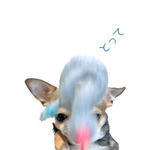 mg_6.jpg