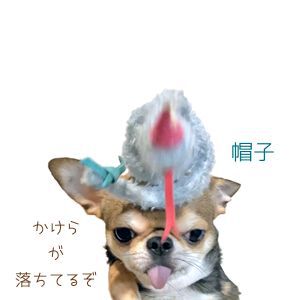 mg_6.jpg